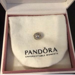 Pandora flower clip charm (2 of 2)